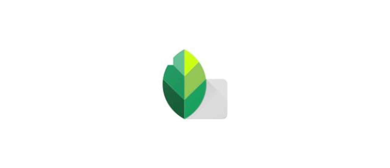 Android Snapseed 图片编辑_v2.20.0.5291 谷歌版 | 枫音应用