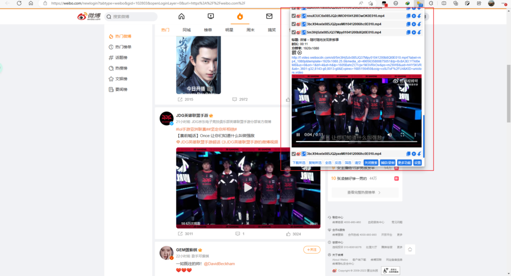 Chrome | Cat Catch 猫抓_v2.4.0