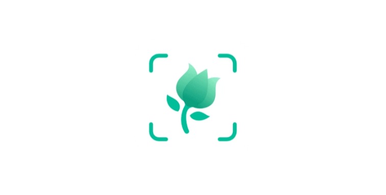 Android PictureThis 植物识别_v4.4.1
