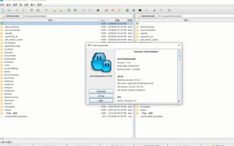 Windows muCommander 文件管理工具_v1.6.1 绿色便携版